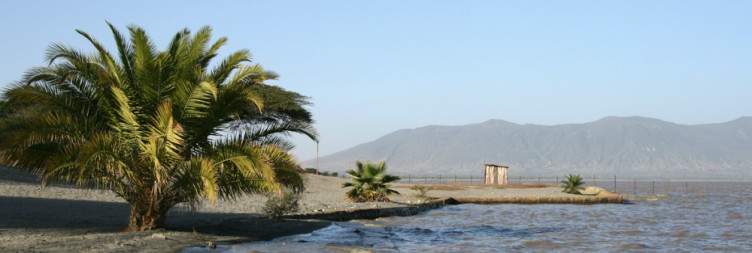 Lake Langano and Surrounding Area