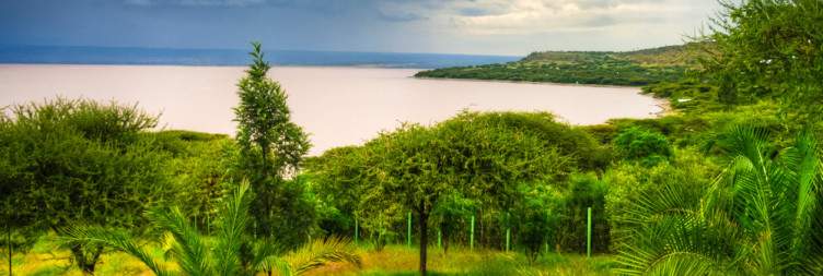 Addis Ababa to Lake Langano-Valley Wetlands & Waterbird Spectacle