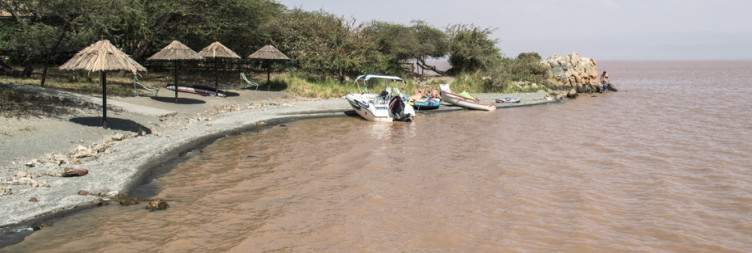 Lake Langano and Abijatta-Shalla National Park