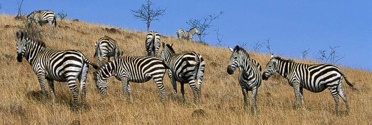 Nech Sar National Park