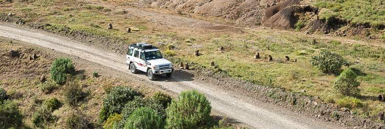Fly Addis Ababa – Gondar – Simien Mountains