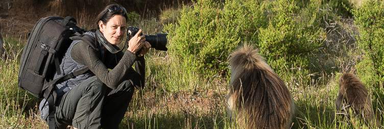 Gich Camp – Chenek Camp – Highlands and Wildlife Trek