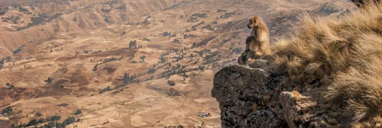 Addis Ababa - Gondar - Simien Mountains National Park