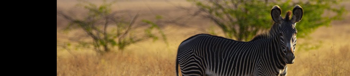 11-Day Explore Ethiopia Unique Wildlife Safari Tour
