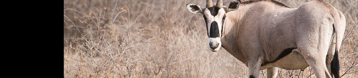 6-Day Discover Eastern Ethiopia Nature & Culture Tour