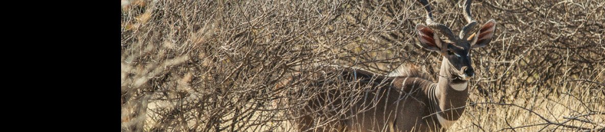 9-Day Discover Omo Valley Culture& Rift Valley Adventure