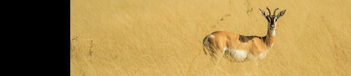 6-Day Ethiopian Ultimate Adventure, Hike, Camp & Safari