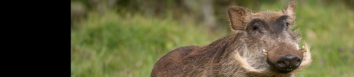 8-Day Journey Through Bale Mountains & Omo Valley Tour