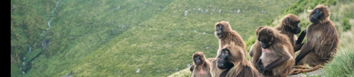 8-Day Bahirdar, Gondar Castle, Simien NP and Lalibela