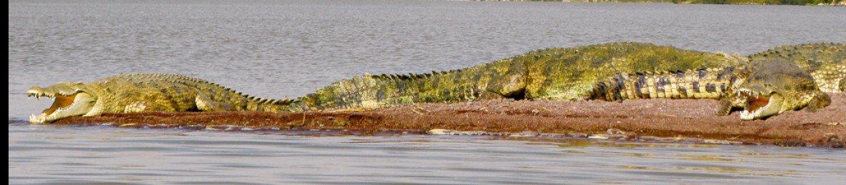 7-Day Explore Ethiopia's Rift Valley Lakes with Wildlife