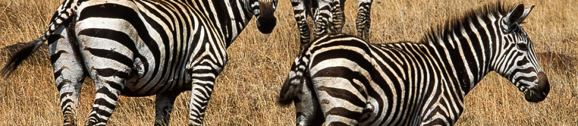 2-Day Hawassa, Dorze Village & Arba Minch Adventure