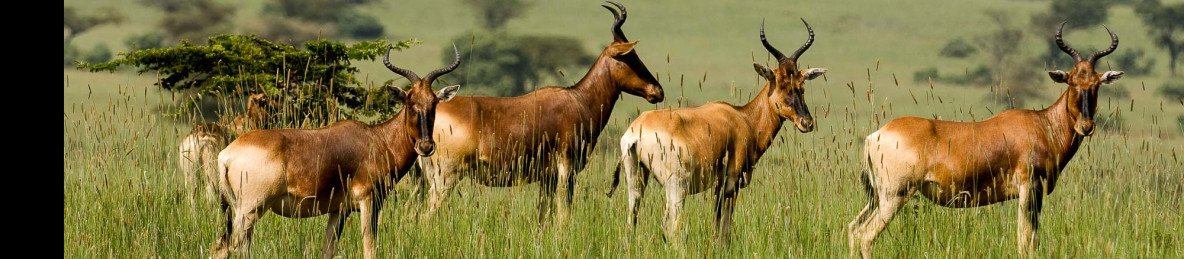 18-Day Grand Ethiopia Culture, Nature, and History Tour