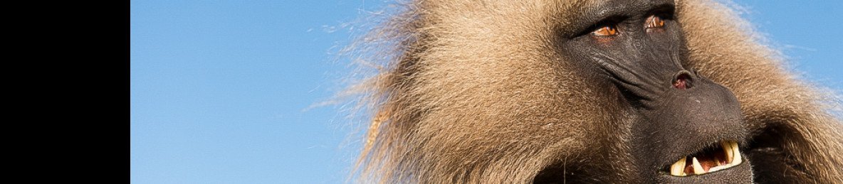 7-Day Northern Ethiopian Highlands Adventure