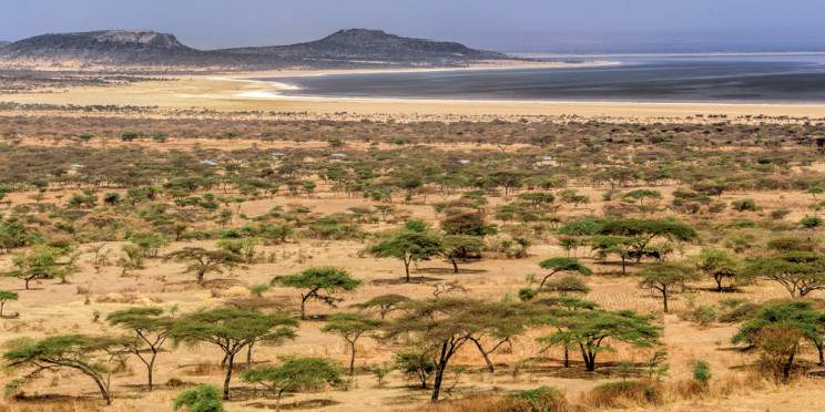 3-Day Ethiopian Rift Valley Safari