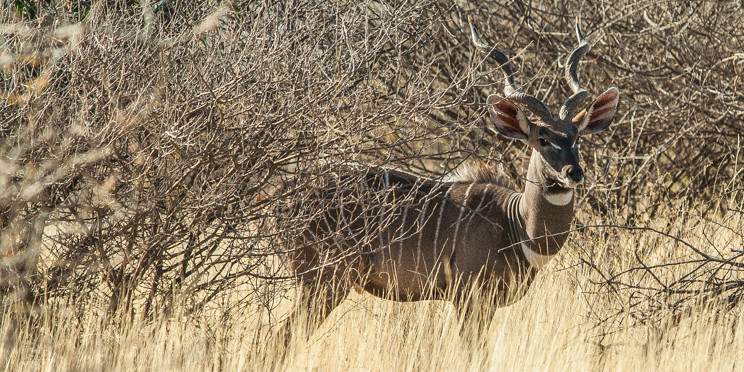9-Day Discover Omo Valley Culture& Rift Valley Adventure