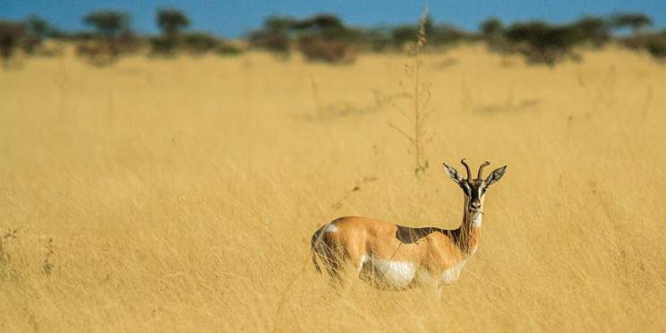 6-Day Ethiopian Ultimate Adventure, Hike, Camp & Safari