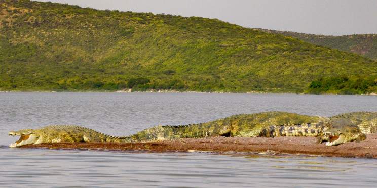7-Day Explore Ethiopia's Rift Valley Lakes with Wildlife