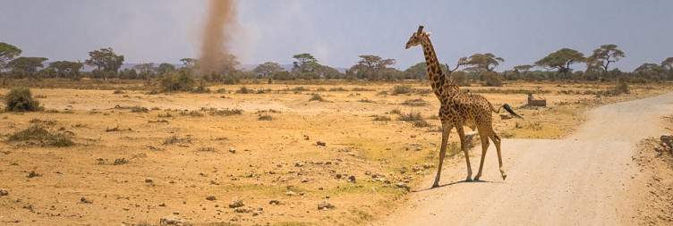 Amboseli National Park Full-Day Game Drive