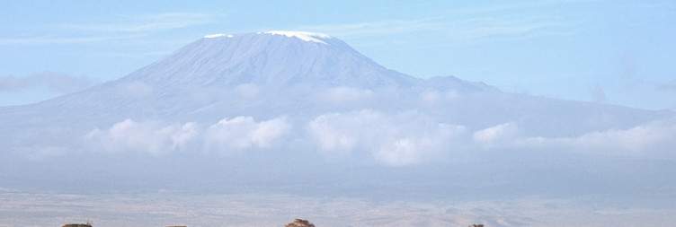 Tsavo West - Amboseli