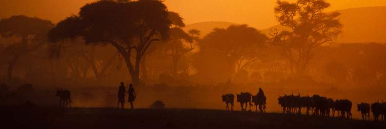 Full Day in Amboseli National Park