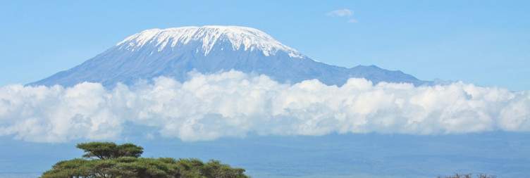 Nairobi – Amboseli | Afternoon Game Drive