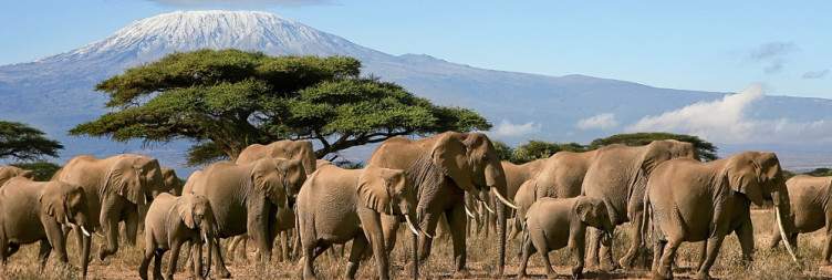 Amboseli National Park