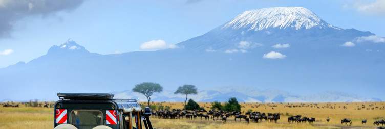 Amboseli National Park Full Day Game Drive