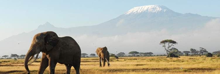 Ngutuni Wildlife Sanctuary to Amboseli National Park