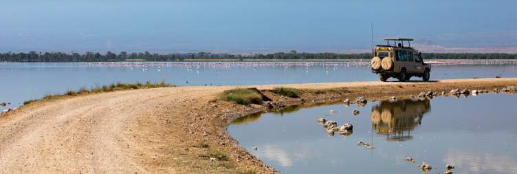 Amboseli National park