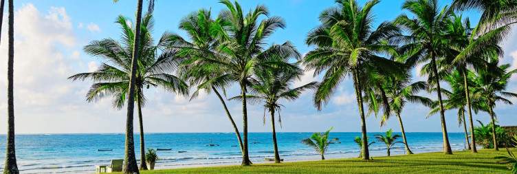 Transfer & Beach Time in Diani Beach