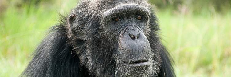 Transfer to Laikipia - on safari at El Karama Eco Lodge