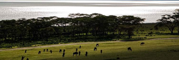 Lake Naivasha