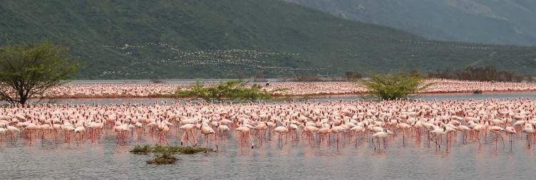 Naivasha to Nairobi