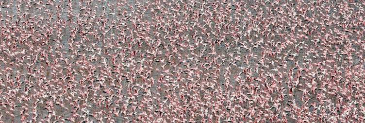 Lake Naivasha-Lake Nakuru National Park