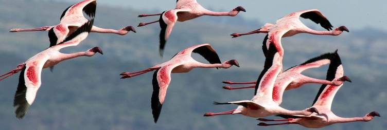 Nakuru to Nairobi