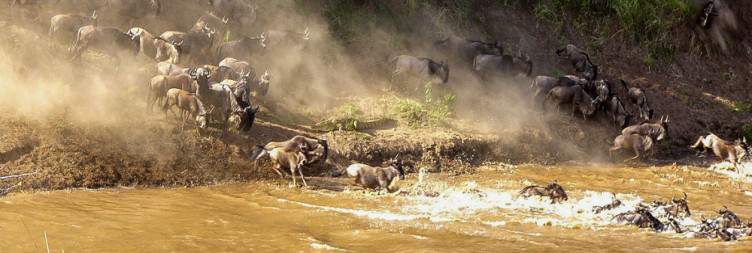Explore the Masai Mara