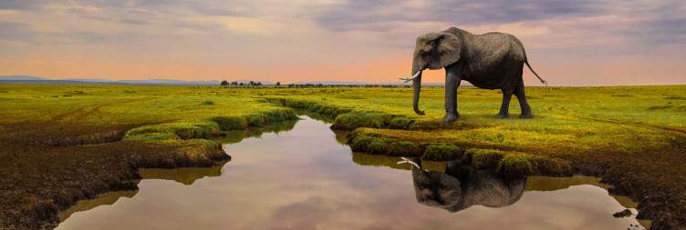 Drive to Masai Mara National Reserve – Visit a Maasai Village
