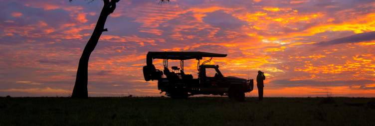 Masai Mara National Reserve Full Day