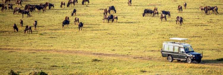 Arrive in Nairobi & Fly to the Masai Mara National Reserve