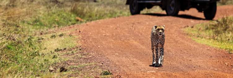 Masai Mara National Reserve