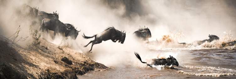 Timeless Safari in the Legendary Masai Mara National Reserve