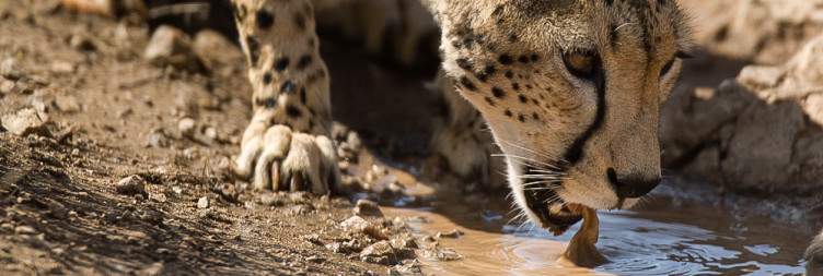 Samburu Game Reserve