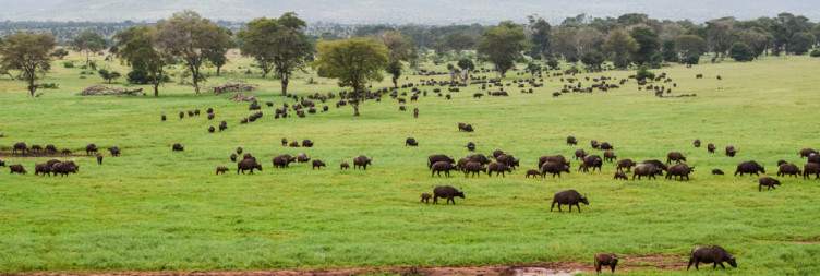 Amboseli Taita Hills