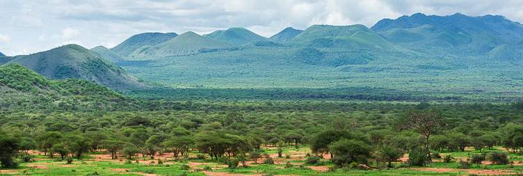 Mombasa to Tsavo West National Park