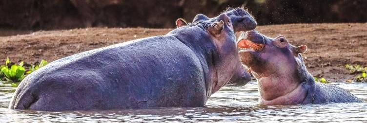 Tsavo West National Park