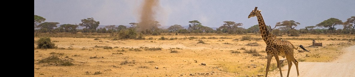 2-Day Safari to Amboseli
