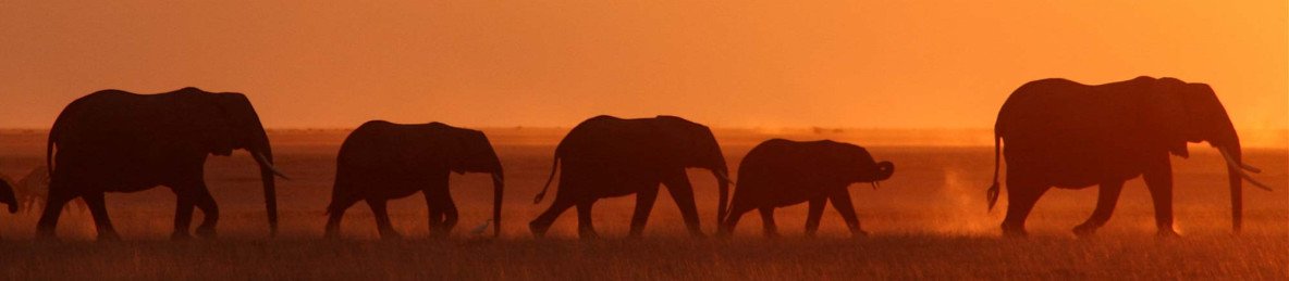 14-Day Kenya Family Adventure Safari