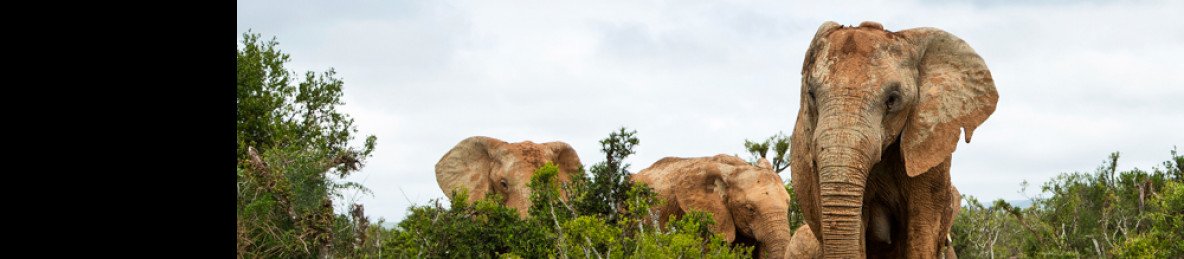 7-Day Kenya Adventure Safari
