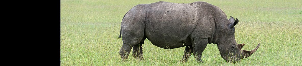 3-Day Masai Mara Joining Group Tour