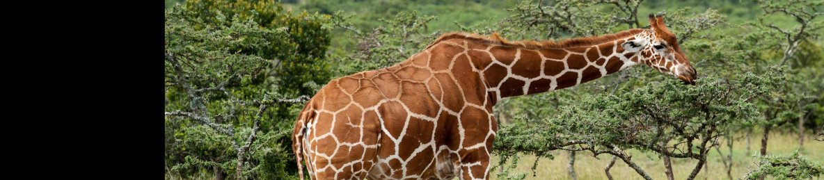 11-Day Kenya off the Beaten Track